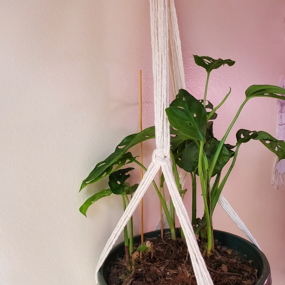 Macrame Plant Hanger (Box pattern) - Picture 4 of 4